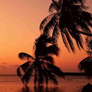 第一天的第一首