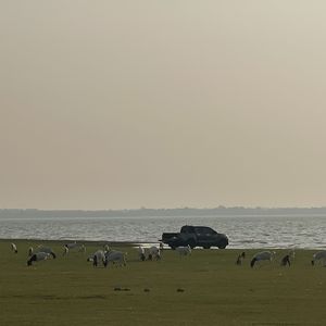 ไม้เท้ายอดทอง กระบองยอดรักสลักดวงใจนิรันดร์