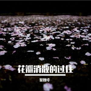 花瓣消散的过往