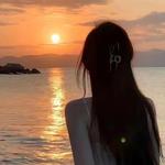我爱你不问归期 (Cover 苗田雨) - 苏颜悦 专辑封面