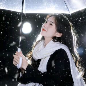 我期待的不是雪