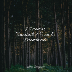 Desintoxicar el Cuerpo