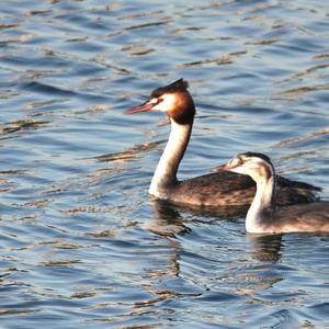 둘이라서 좋은 이유