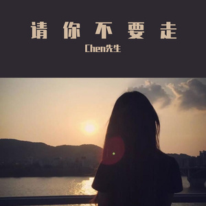 请你不要走