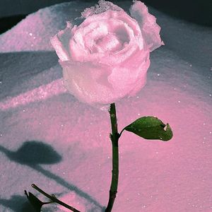 情绪又作祟（Prod.by Lisure）