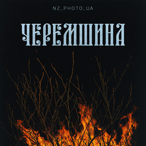 Черемшина