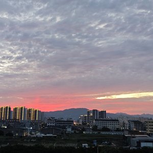 生命赋予
