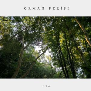ORMAN PERİSİ