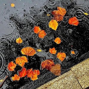 蓝色夜曲
