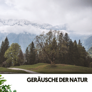 Die Symphonie der Natur zur Entspannung und Studium