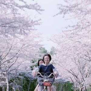 瞬き（翻自 春茶）