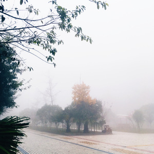 在九月结束的时候与你告别