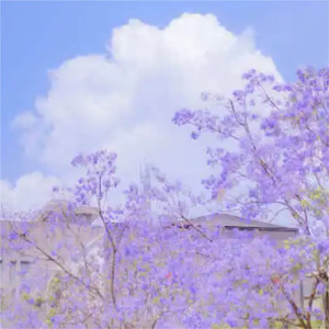 Serendipity (优美的钢琴曲)