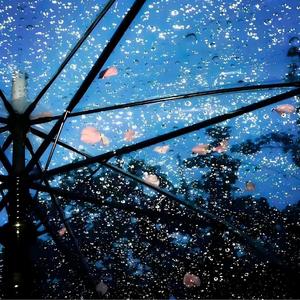 我只想让你回到最初的记忆