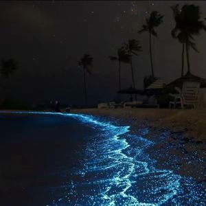 DJ瑞恩 - 三月里的小雨Lak大碟