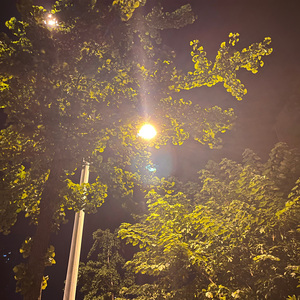 和你（初恋版）