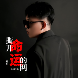 撕开命运的网 (DJ版)
