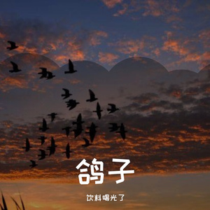 鸽子（翻自 刘大壮）