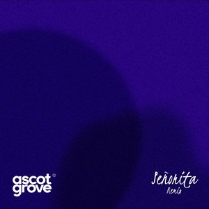 Señorita (Remix)