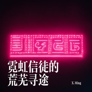 霓虹信徒的荒芜寻途 2