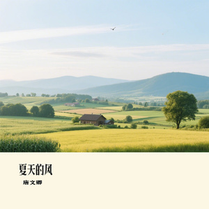 夏天的风