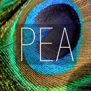 Pea