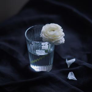 那些花儿