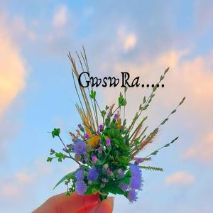 Gwsw raa