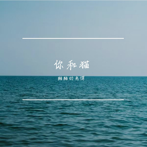 想你的猫