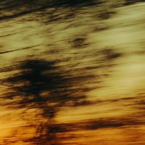 S.O.P.H.I.A (feat. Ghostnarbis)