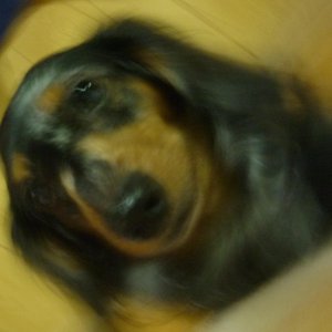 last steps (vaporwave edit)