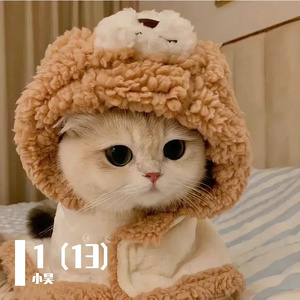 1 (13)