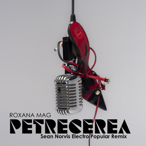 Petrecerea (Sean Norvis Electro Popular Extended Remix)