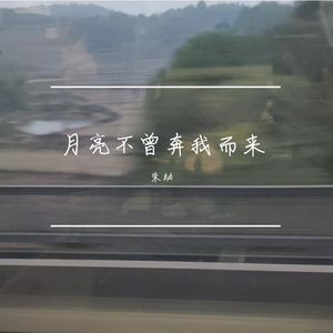 月亮不曾奔我而来