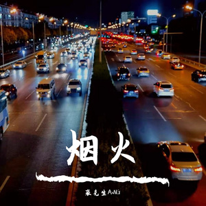 我站在中关村的天桥上看烟火 伴奏