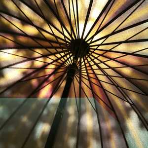 萤火森林（DEMO)