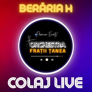 Colaj BerăriaH | Elena Avrămescu & Orchestra Frații Țanea | LIVE 2025 (Live)
