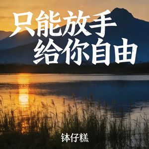 只能放手给你自由
