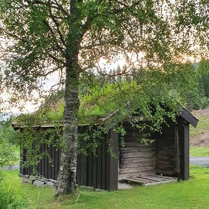 The Moon and the Sun