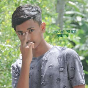না_হয়_আমার_একটা_ভুল_ছিল