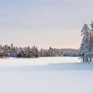 昨晚你已嫁给谁