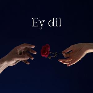 Ey dil