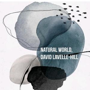 Two War Poems (For Edward Thomas, ’Snow’ and ‘Thaw’. (Killed at Arras 1917)