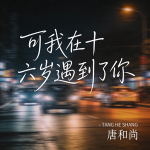 可我在十六岁遇到了你（热播版）