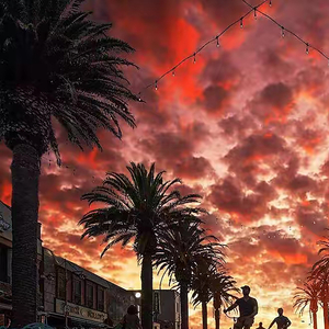 一片落叶的故事