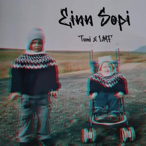 EINN SOPI