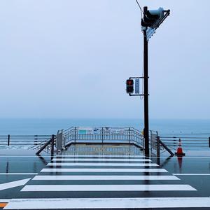 一双手（翻自 林奕匡）