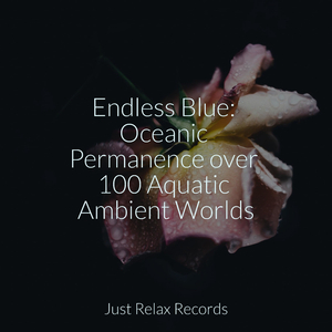 Lullaby's Hushed Melody