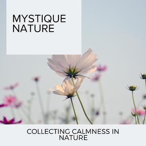 Screeching Hawk Sound