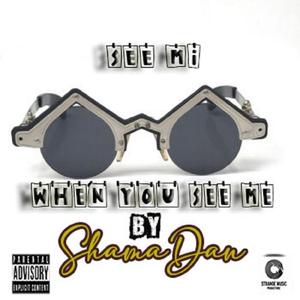 When you see me (feat. ShamaDan & 1DonBeatz)